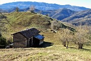 CORNA CAMOSCERA (COREN),1329 m, da Cavaglia di Val Brembilla il 14 gennaio 2019- FOTOGALLERY